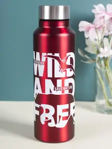 MARKET99 Red Printed Single Vacuum Insulated Stainless Steel Water Bottle 750 ml