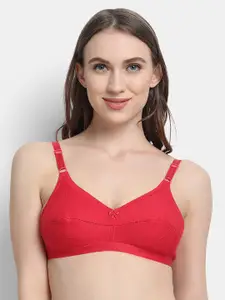 VStar Red double-layered cone-shaped Cotton Bra