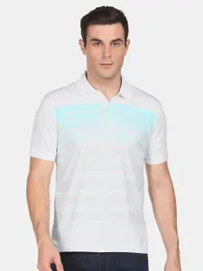 Arrow Men White & Blue Striped Polo Collar Pure Cotton T-shirt
