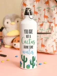 Indigifts You're Not A Cactus Printed Aluminum Water Bottle 750ml