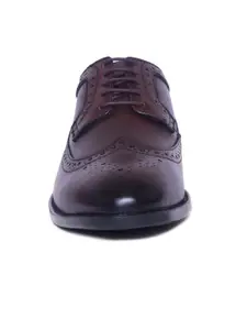 Zoom Shoes Men Brown Solid Leather Brogues