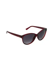 bebe Women Blue Lens & Red Oval Sunglasses Bebe_3034_C3_S-Blue