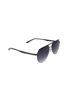 French Connection Men Blue Lens & Black Aviator Sunglasses FC_7584_C3_S_with_case-Blue