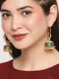 OOMPH Gold-Toned Dome Shaped Jhumkas Earrings