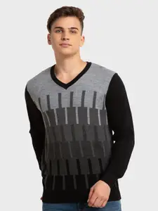 ColorPlus Men Printed V-Neck Wool Pullover