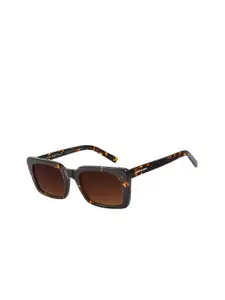 Chilli Beans Women Bronze Lens & Tan Frame Square Sunglasses OCCL33215706