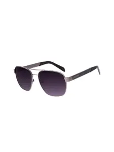 Chilli Beans Men Purple Lens & Black Rectangle Sunglasses with UV Protected Lens