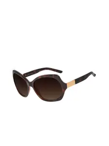 Chilli Beans Women Bronze Lens Square Sunglass with UV Protected Lens-OCCL32625706