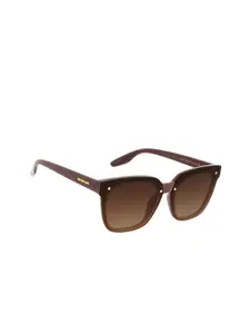 Chilli Beans Women Brown Lens & Brown Square Sunglasses with UV Protected Lens