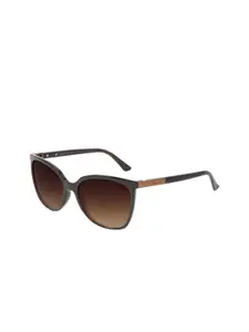 Chilli Beans Women Grey Lens & Brown Full Rim Cateye Sunglasses OCCL34295702