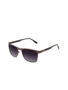 Chilli Beans Men Purple Lens & Brown Rectangle Sunglasses with UV Protected Lens
