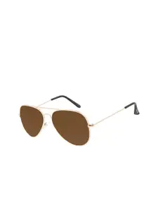 Chilli Beans Men Brown Lens & Gold-Toned Aviator Sunglasses with UV Protected Lens