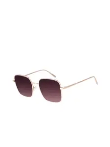 Chilli Beans Women Brown Lens & Gold-Toned Square Sunglasses with UV Protected Lens