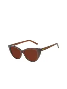 Chilli Beans Women Brown Lens & Brown Cateye Sunglasses with UV Protected Lens