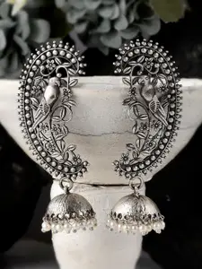 DASTOOR Silver-Toned Contemporary Jhumkas Earrings
