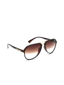 IDEE IDEE Men Brown Lens & Brown Aviator Sunglasses with UV Protected Lens