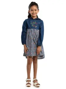 UNDER FOURTEEN ONLY Girl  Blue Dress