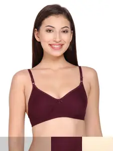 Innocence Pack of 3 Non Padded & Non-Wired Bra