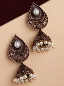 PANASH Copper-Toned Dome Shaped Jhumkas Earrings