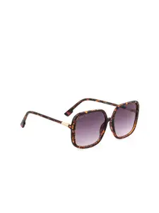 ROYAL SON Women Black Lens & Brown Oversized Sunglasses with UV Protected Lens CHI0096