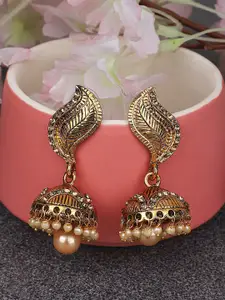 ANIKAS CREATION Women  White Gold-Plated Dome Shaped Jhumkas Earrings