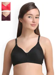 Leading Lady Pack of 3 Solid Everyday Bras LLCOOL-3-PP-GJ-BLK
