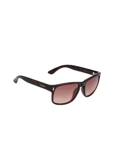 French Connection Men Brown Lens Square Sunglasses Protected Lens FCUK Chester C3 S