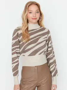 Trendyol Women Brown Animal Acrylic Pullover