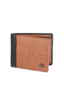 Red Chief Men Tan & Black Colourblocked Leather Two Fold Wallet