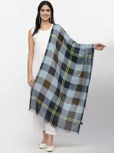 Anekaant Women Brown & Blue Checked Scarf