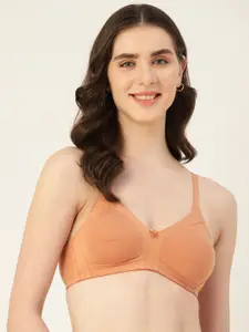 DressBerry Non-Wired Non Padded Bra