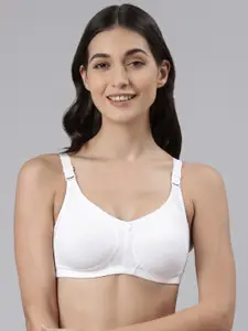 Dollar Missy Pack of 1 Combed Cotton with Stretchy Elastane Wire-Free Panelled Support Bra