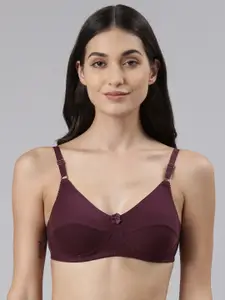 Dollar Missy Pack of 1  Cotton Wire-Free Uplift Support Bra