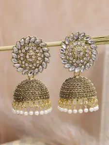 Crunchy Fashion Gold-Plated Classic Jhumkas Earrings