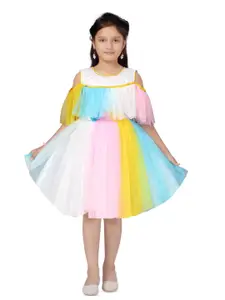 BAESD Net Fit & Flare Dress