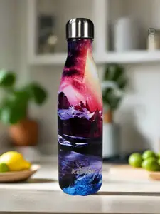 Smily Kiddos Pink & Blue Stainless Steel Printed Double Wall Vacuum Water Bottle 500ml