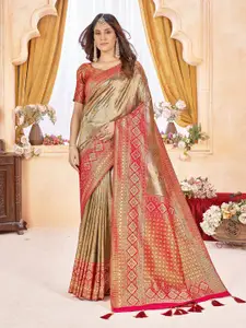 Mehrang Woven Design Zari Banarasi Saree