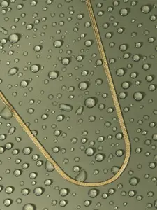 Accessorize Gold-Plated Stainless Steel Necklace