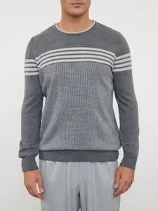 Trendyol Men Striped Round Neck Sweatshirt