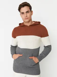 Trendyol Men Colourblocked Hooded Sweatshirt