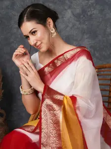 Satrani Colourblocked Zari Organza Saree