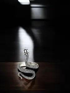 The Roadster Lifestyle Co Stylish Snake Shape Finger Ring