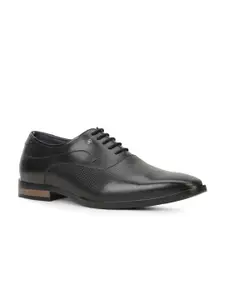 Bata Men Formal Oxfords