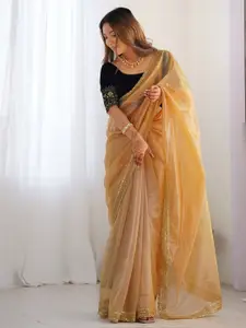 Satrani Sequinned Shimmer Net Saree