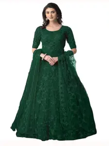 APNISHA Embroidered Net Fit & Flare Maxi Dress