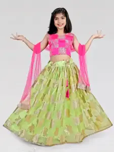 BAESD Girls Embroidered Mirror Work Organza Ready to Wear Lehenga & Blouse With Dupatta