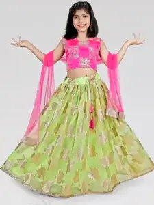 BAESD Girls Embroidered Organza Ready to Wear Lehenga & Blouse With Dupatta