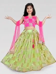 BAESD Girls Embroidered Ready to Wear Lehenga & Blouse With Dupatta
