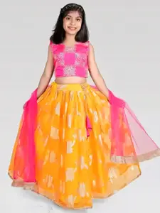 BAESD Girls Embroidered Thread Work Organza Ready to Wear Lehenga & Blouse With Dupatta