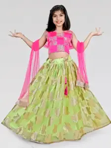 BAESD Girls Embroidered Zari Work Organza Ready to Wear Lehenga & Blouse With Dupatta
